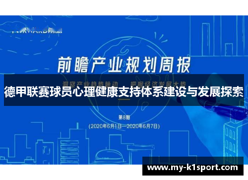 德甲联赛球员心理健康支持体系建设与发展探索