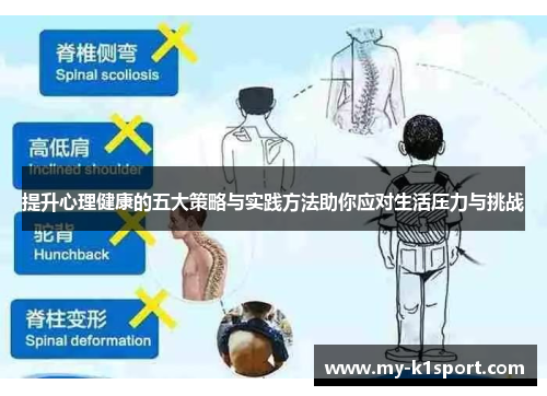 提升心理健康的五大策略与实践方法助你应对生活压力与挑战