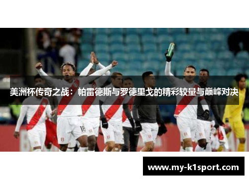 美洲杯传奇之战：帕雷德斯与罗德里戈的精彩较量与巅峰对决