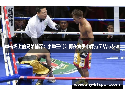 拳击场上的兄弟情深：小拳王们如何在竞争中保持团结与友谊