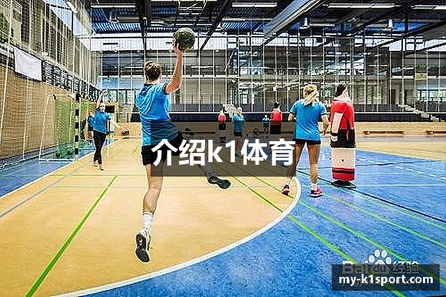 介绍k1体育